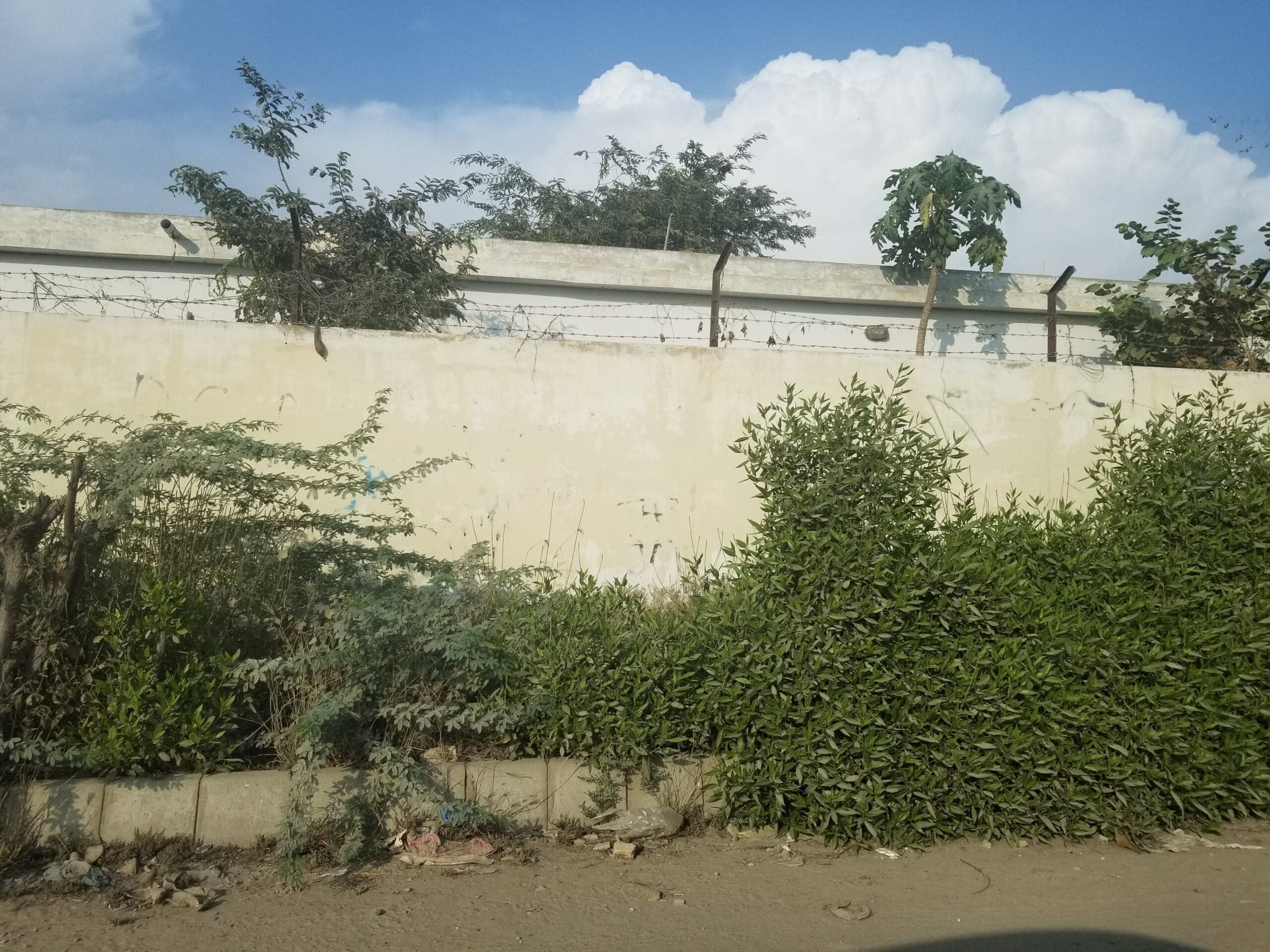 Plot for Sale - Estate Bank